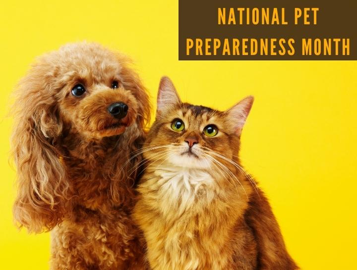 National Pet Preparedness Month Kenhaven Animal Hospital